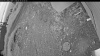 Web Cam Image - Mon, 06/29/2026 3:14am PDT