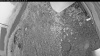 Web Cam Image - Thu, 07/02/2026 8:39pm PDT