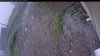 Web Cam Image - Fri, 07/03/2026 9:29am PDT