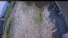 Web Cam Image - Sun, 07/05/2026 11:29am PDT