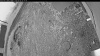 Web Cam Image - Fri, 06/05/2026 3:59am PDT