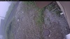 Web Cam Image - Fri, 07/03/2026 9:24am PDT