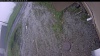 Web Cam Image - Sat, 06/06/2026 4:59am PDT