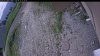 Web Cam Image - Thu, 06/25/2026 10:34am PDT