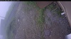 Web Cam Image - Thu, 07/02/2026 9:24am PDT