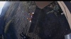 Web Cam Image - Sun, 10/11/2026 7:34am PDT