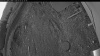 Web Cam Image - Tue, 05/05/2026 4:24am PDT