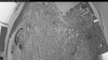 Web Cam Image - Fri, 06/05/2026 3:49am PDT