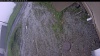 Web Cam Image - Sat, 06/06/2026 4:54am PDT