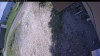 Web Cam Image - Sat, 06/13/2026 11:14am PDT