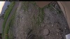 Web Cam Image - Tue, 07/01/2025 2:49pm PDT