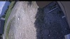Web Cam Image - Wed, 05/20/2026 12:49pm PDT