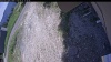 Web Cam Image - Sat, 06/13/2026 11:09am PDT