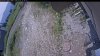 Web Cam Image - Sun, 07/05/2026 11:09am PDT