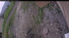Web Cam Image - Tue, 07/01/2025 2:44pm PDT