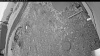 Web Cam Image - Tue, 05/26/2026 4:54am PDT