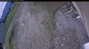 Web Cam Image - Mon, 06/08/2026 9:04am PDT