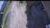 Web Cam Image - Sat, 06/13/2026 11:04am PDT