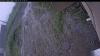 Web Cam Image - Fri, 06/26/2026 12:09pm PDT