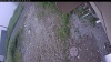 Web Cam Image - Tue, 06/30/2026 6:39am PDT