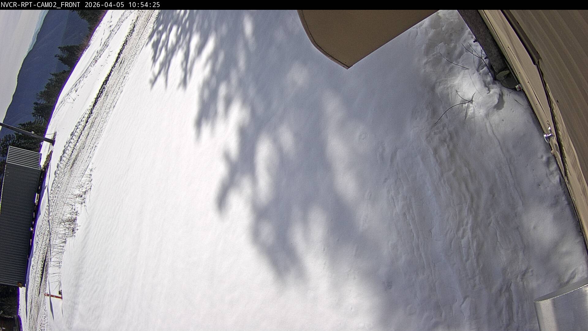 Web Cam History Image - 630