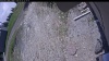 Web Cam Image - Sat, 05/23/2026 11:09am PDT