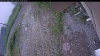 Web Cam Image - Tue, 06/30/2026 6:34am PDT