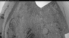 Web Cam Image - Tue, 07/01/2025 2:34pm PDT