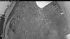 Web Cam Image - Fri, 06/05/2026 3:29am PDT