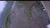 Web Cam Image - Tue, 06/09/2026 12:19pm PDT