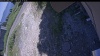 Web Cam Image - Mon, 07/06/2026 1:04pm PDT