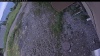 Web Cam Image - Tue, 07/07/2026 3:04pm PDT