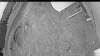 Web Cam Image - Sun, 05/24/2026 8:09pm PDT