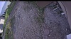 Web Cam Image - Mon, 06/01/2026 6:54pm PDT