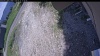 Web Cam Image - Sat, 06/13/2026 10:49am PDT