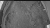 Web Cam Image - Mon, 06/15/2026 3:39am PDT