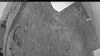 Web Cam Image - Wed, 06/17/2026 8:24pm PDT