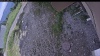 Web Cam Image - Tue, 07/07/2026 2:59pm PDT