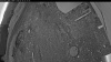 Web Cam Image - Mon, 05/18/2026 3:54am PDT