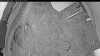 Web Cam Image - Sun, 05/24/2026 8:04pm PDT