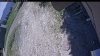 Web Cam Image - Tue, 06/02/2026 12:34pm PDT