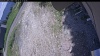 Web Cam Image - Sat, 06/13/2026 10:44am PDT