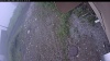 Web Cam Image - Fri, 07/03/2026 8:44am PDT