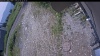 Web Cam Image - Sun, 07/05/2026 10:44am PDT