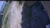 Web Cam Image - Mon, 07/06/2026 12:54pm PDT