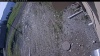 Web Cam Image - Thu, 05/21/2026 8:09am PDT