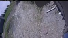 Web Cam Image - Sat, 05/23/2026 10:49am PDT