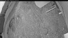 Web Cam Image - Sun, 05/24/2026 7:59pm PDT