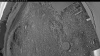 Web Cam Image - Mon, 06/15/2026 3:29am PDT