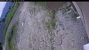 Web Cam Image - Thu, 06/25/2026 9:54am PDT